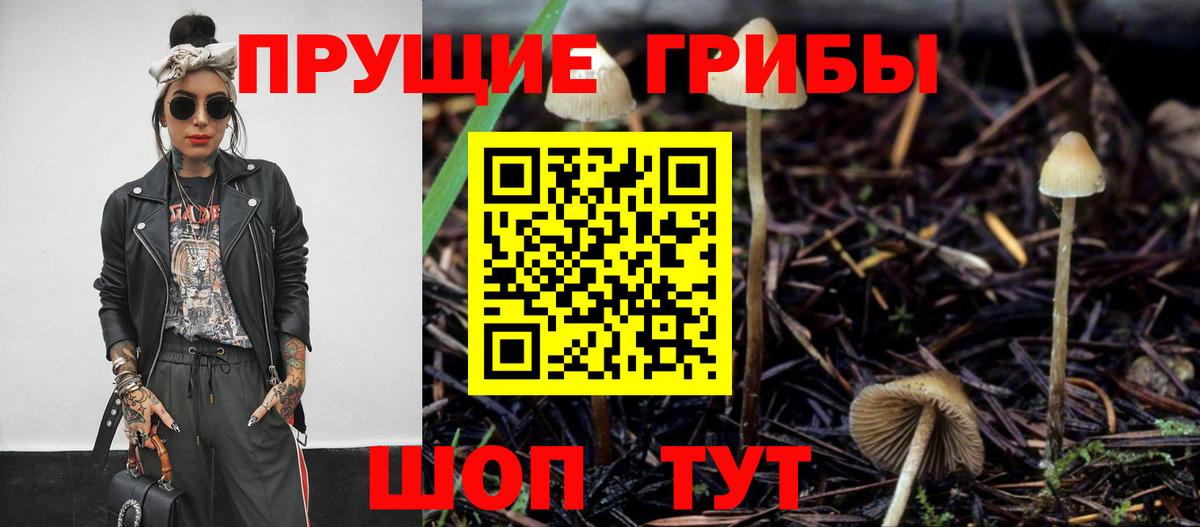 Галлюциногенные грибы прущие грибы  Вход с VPN  Электросталь 